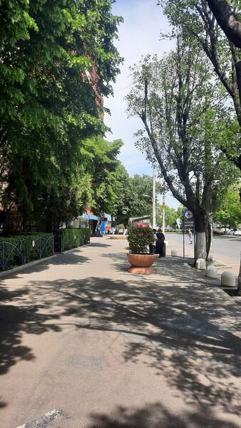 Berceni, Nitu Vasile, Obregia, BCR,